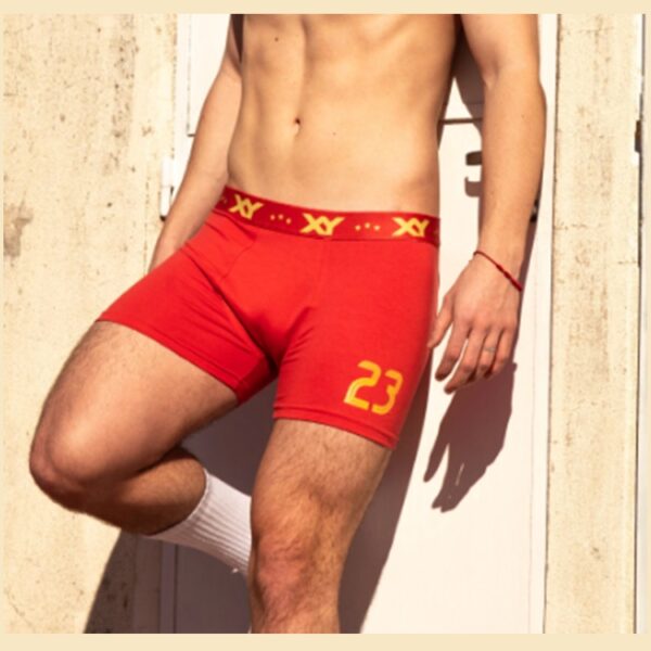 XY1452_fylo_lenceria