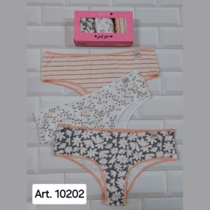 ART.SA10202 PACK X3 CULOTTE CLÁSICO ALGODON Y LYCRA